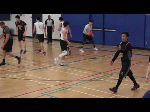 Bumble Bees vs Malatang Yang | Sunday tier 7 playoffs - tcbl 2020 winter