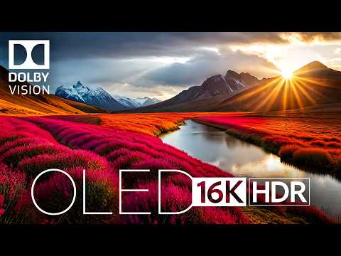 OLED DEMO - 16K VIDEO ULTRA HD • DOLBY VISION HDR 60 FPS