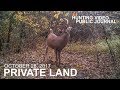 Private Land October 28 Big Mature Buck At 10 Yards The Hunting Public
