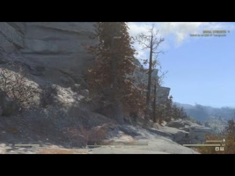 Trying out fallout76... Paranoia sets in