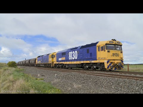 7731V Pacific National Grain Train (22/7/2020) - PoathTV Australian Railways