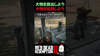 【RDR2】処刑台から助けるとどうなる？【レッドデッドリデンプション2】