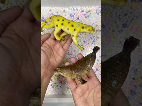 Sea lion and tiger toys #shorts #toys #516