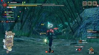 MHRise サクッとひと狩り！！