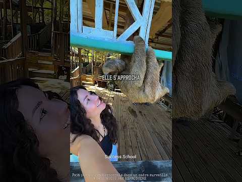 😱Ne vous approchez pas de cet animal...