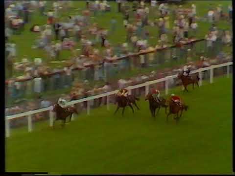1984 Prince Of Wales's Stakes Morcon + Replay & Enclosure