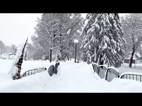 Yani MC - Тяхната игра  (2026)