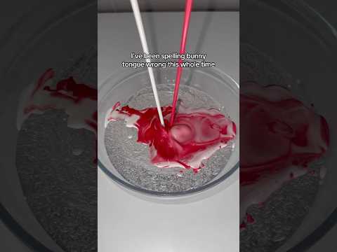 I’ve been spelling bunny tongue wrong this whole time 😭 #shorts #lipgloss