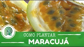Miniatura do vídeo