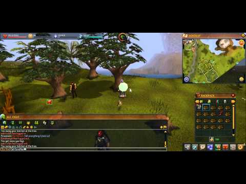 Cali CaveMan OG Yew tree trimming