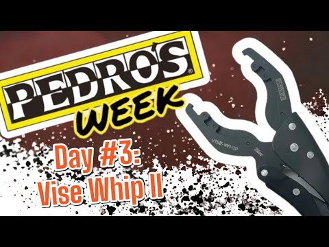 PEDRO'S WEEK Day #3: The Vise Whip II