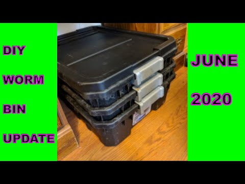 DIY WORM BIN June 2020