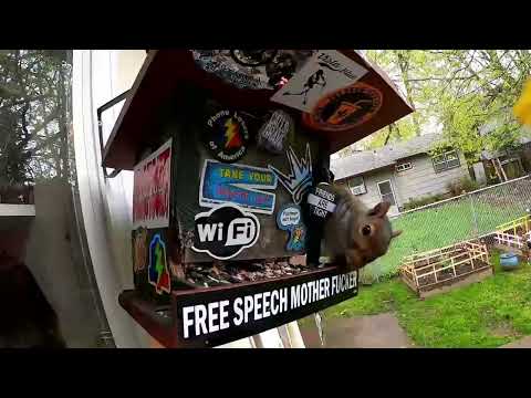 The Snow Plow Show Episode 867 – The Happy Telephone Caller