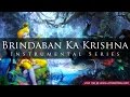 Brindaban Ka Krishna Kanhaiya Flute Instrumental