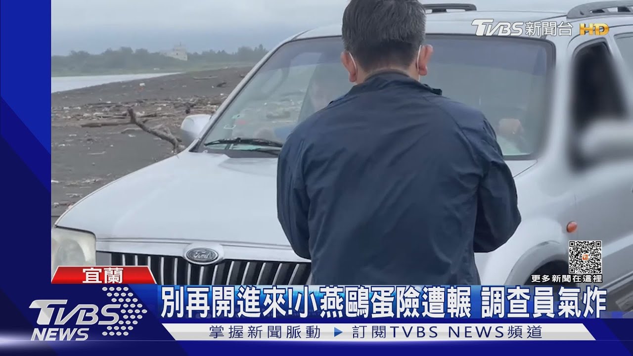 別再開進來!小燕鷗蛋險遭輾 調查員氣炸