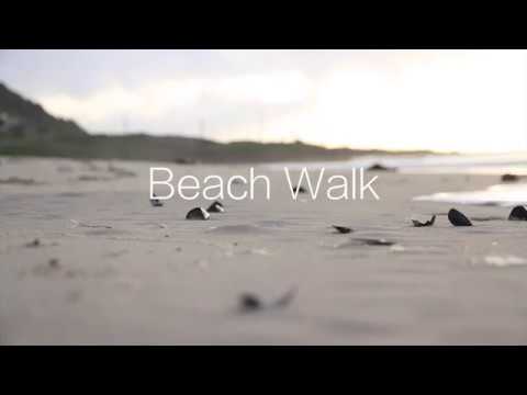 Beach Walk Plastic Cleanup