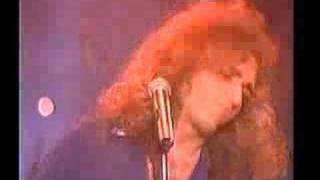 Freddy Curci-Haunted Heart LIVE