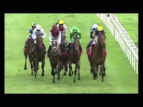 27.09.2015 (D40; G7; tor: 3,9 ; 14°C)