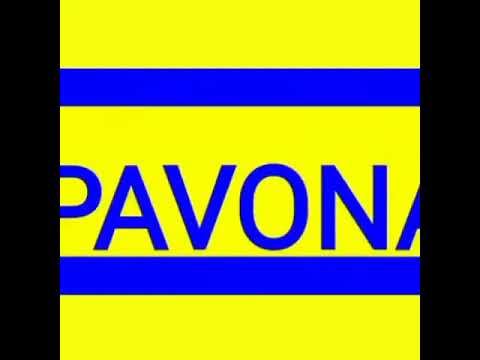 SPORTING PAVONA CASTELGANDOLFO PALLAVOLO CLIP 2018-19