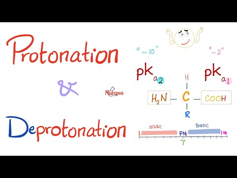 Amino Acids - pH & pKa - Titration - Part 3 - Biochemistry for MCAT, DAT, NEET, GCSE