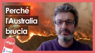 Perché l'Australia brucia. Il ricercatore Davide Ascoli: “È un sintomo del cambiamento climatico”