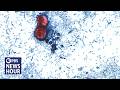 What We Know About The Cyclosporiasis Outbreak Linked To Produce