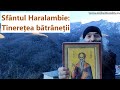 Sfântul Haralambie Tinerețea Bătrâneții P Pimen Vlad