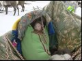 Семья из Петербурга проведет год, кочуя по полуострову Ямал 