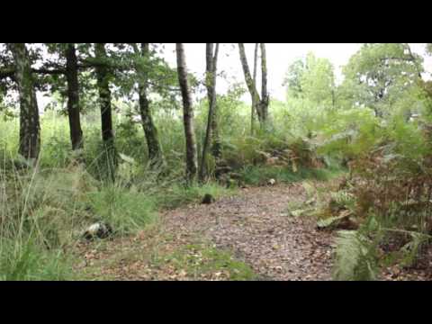 Expeditie Raayland 2013 (vwo 3)