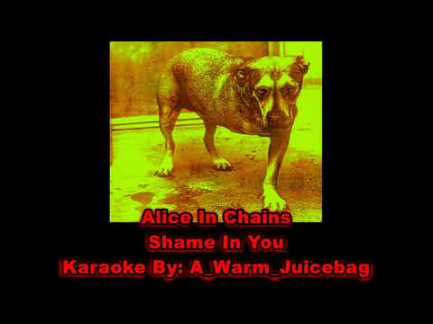 Alice In Chains Shame In You Karaoke