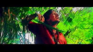 Brandon Hess | "PEACEFUL LIFE" | From the "FLY AWAY" Album