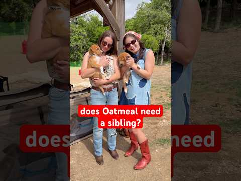 this is my @coachella #coachella