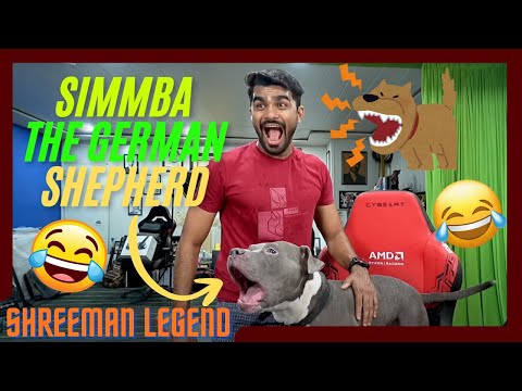 SIMMBA The German Shepherd Kutraa 🤣❤️ | Shreeman Legend | #shreemanlegend  | #Shreeman Editzz