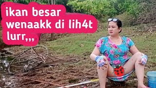 Download lagu Buk4 b*ny4k joss... Baru kali ini nekad sarang ikan di bikin pangling... mp3