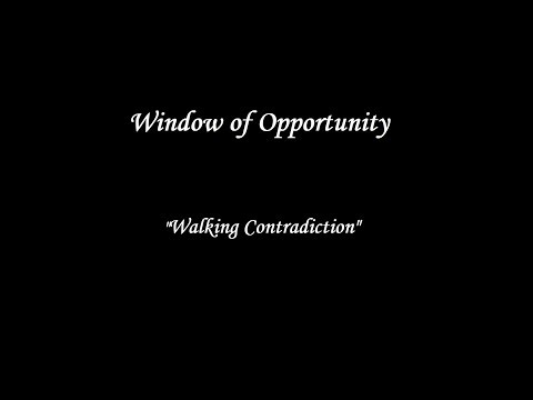Window of Opportunity - "Walking Contradiction" Lyric Video