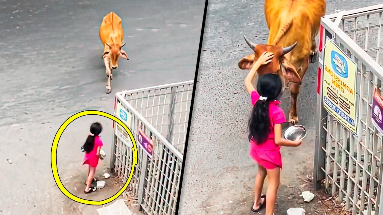 ATOS ALEATÓRIOS DE BONDADE QUE VÃO TE FAZER CHORAR