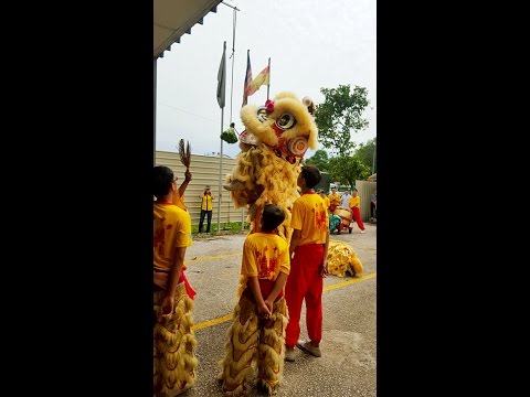 THC CNY Lion Dance 2016