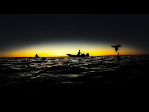 NC Duck Hunting 2022-2023 (Layout Hunting, Stick Blind Hunting, Curtain Blind, Marsh Hunting)