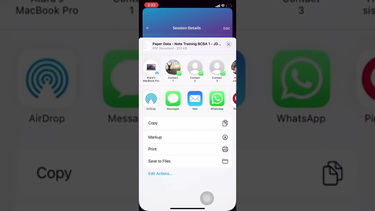 Export PDF for Paper Data Collection
