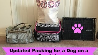 Updated Packing for a Dog on a Road Trip