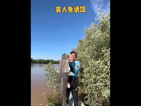亞馬遜河冒險釣魚：漁民大量捕獲食人魚作餌，深水獵巨物！#亞馬遜釣魚 #食人魚作餌 #戶外探險 #野釣 #釣魚紀錄