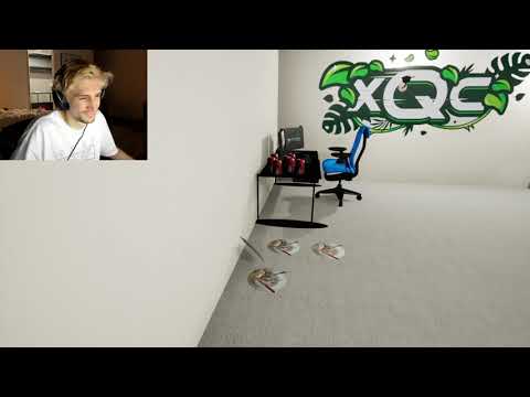xQc meets xQc