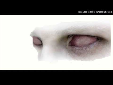 Today's Tango Is... Amor Ciego - Orquesta Típica Victor 12-12-1927