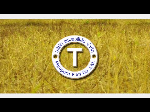 ตัวอย่าง บักสิเด๋อ ฮีโร่พันธุ์บ๊องส์  25 08 65