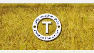 ตัวอย่าง บักสิเด๋อ ฮีโร่พันธุ์บ๊องส์  25 08 65