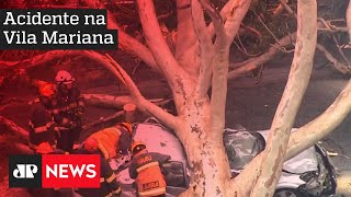 Motorista morre após queda de árvore na zona sul de São Paulo