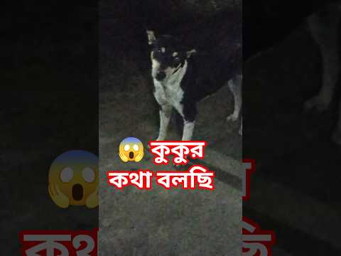 @krishik6549 #streetdog#dog#puppy#funnydog#voiceforvoiceless#পোষাকুকুর#কুকুর#shortvideo.