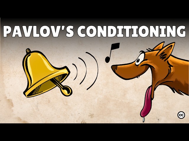 Видео Произношение pavlov в Английский