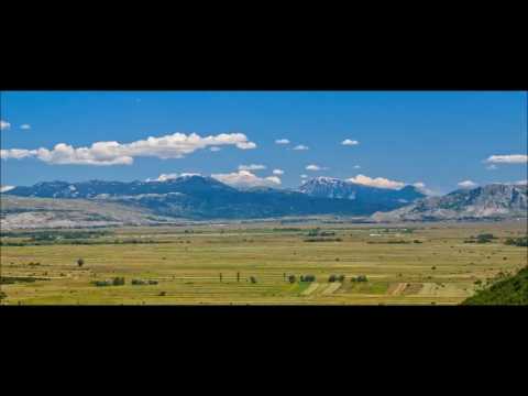 THOMPSON - DUVANJSKO POLJE NAŽIMLJE GRUDI