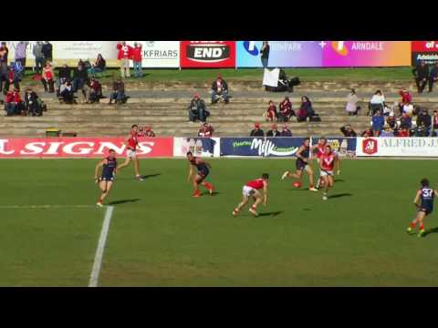 2017 BankSA Rookie - Round 13 Chris Olsson (Norwood)